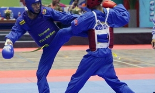 Giải vô địch Vovinam 2013: Cơ hội quảng bá võ Việt